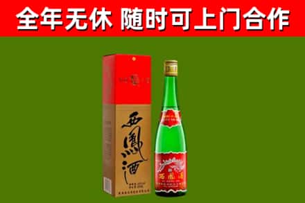 文成县回收西凤酒